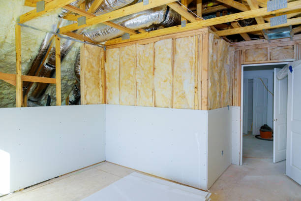 Best Insulation Maintenance and Repair in Petersburg, IL